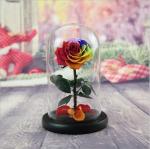 Real Natural Fresh Big Rose Preserved Flower Preserved Everlasting Real Roses in