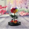 Buy cheap Preserved Rose Flower Box Never Withered Flowers Home Decoration from wholesalers