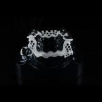 OEM Peek Cast Metal Framework Partial Denture User Friendly