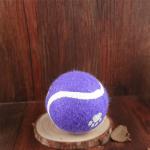 2014 new pet dog toy products