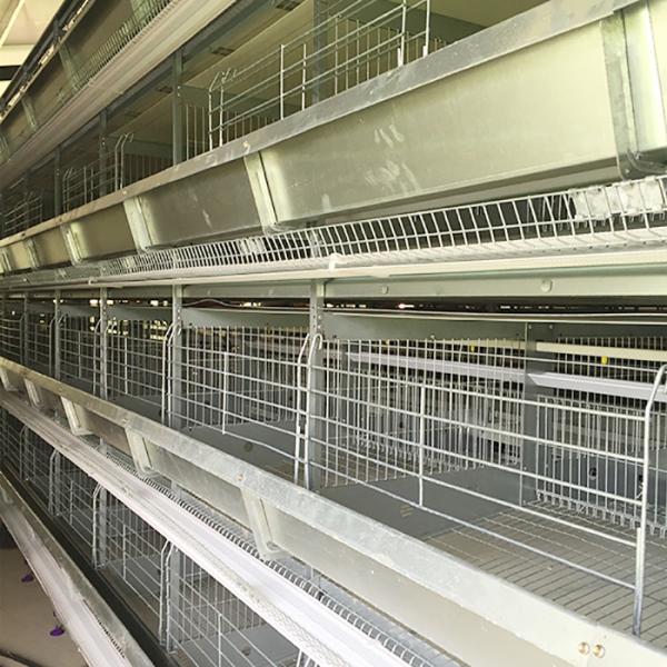 Buy cheap Saudi Arabia H Type Automatic Battery Chicken Cage System Indonesia Poultry Farming Equipment from wholesalers