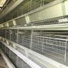 Buy cheap Saudi Arabia H Type Automatic Battery Chicken Cage System Indonesia Poultry Farming Equipment from wholesalers