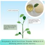 Enzymatic Acid Fertilizer Powder Amino Acid 80% Ph5-7 NPK 14-0-0 Plant