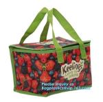 picnic grocery cooler tote insulation small thermal bag for food,Factory