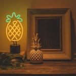 6x17 Home Decor Neon Signs 12V UL Neon Light Wall Decor