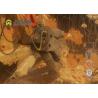 Buy cheap Excavator Attachment Equipment Hydraulic Double Cylinder Shears For Metal from wholesalers