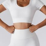 Oem Factory Manufacturer Custom Logo Crop Top Fast Dry Midriff Baring Shirts