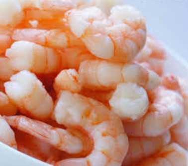Top-Rated Ice Flake Making Machine for Competitive and Safe Shrimp Fish Processing