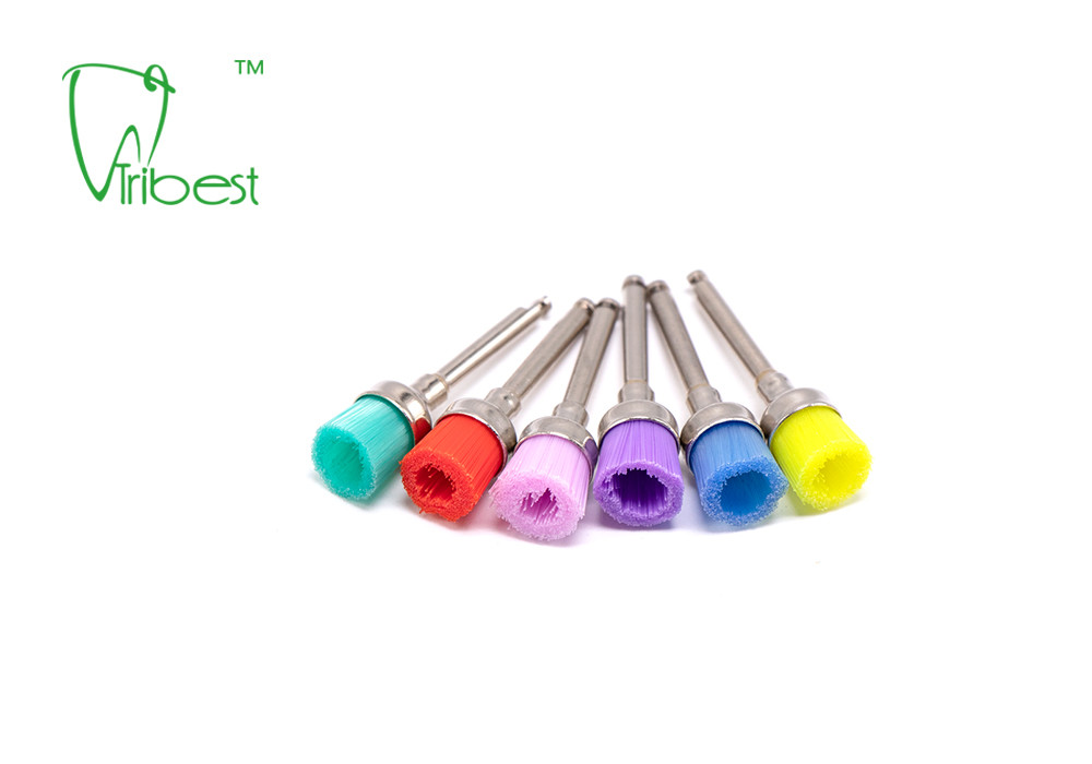 Teeth Polishing Brush Dental Polishing Kit Nylon Brush Bowl