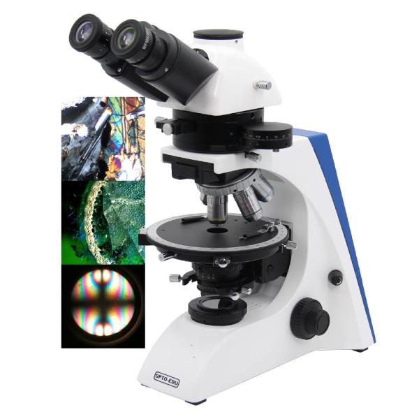 Buy cheap Polarizing Microscope from wholesalers