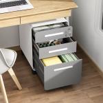 Specific Filing Cabinet Sturdy and Durable Steel Office Mobile File Tin Small