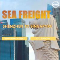 Buy cheap International Sea Freight from Shenzhen to Singapore Port to Port product