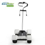 Golf 4 Wheel Skateboard Folding Electric Scooter 10.5 Inch Tire For Outdoor Tour