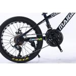 20*2.125 WANDA Tyre Steel Frame 21speed Children's Bike With Mechanical Disc