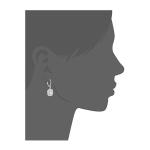 Customized 925 Sterling Silver Jewelry Earrings Round Cubic Zirconia Hoop