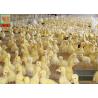 Buy cheap Ducklings Breeding Henhouse 650GSM Plastic Poultry Netting from wholesalers