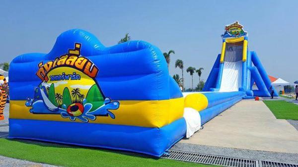 Buy cheap Joyful Fun Factory Price Inflatable Long Water Slide for Adults Large Inflatable Slide from wholesalers
