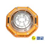 Energy Saving 30W 45W 60W Led Flame Proof Light Explosion Proof Luminaires