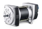 3KW 5KW 2-Poles High Output Alternator Selft-Exciting Double Bearing Alternator