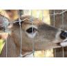 Buy cheap Heavy Duty Fixed Knot Square Deer Mesh Fence Corrosion Resistance Easy Installation from wholesalers