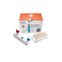 Buy cheap PRRSV CN Porcine Test Kit Porcine Blue Ear Disease PCR Rapid Test Kit product