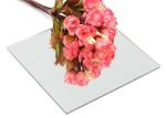 Wall Mounted Silver Mirror Sheet Glass Simple Style For Home Appliance