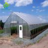 Buy cheap 8m*30m Hydroponic Poly Tunnel Greenhouse Heavy Duty Plastic Sheeting Greenhouse from wholesalers