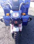Gasoline Oil Pressure Disc 250CC Cargo Tricycle