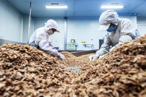 Buy cheap Trimmed Palm Oil Crispy Fried Onion For Burgers from wholesalers