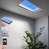 Buy cheap Artificial Daylight Faux Skylight Lighting CCT 6500K Dimmable Tuya Smart Wifi from wholesalers