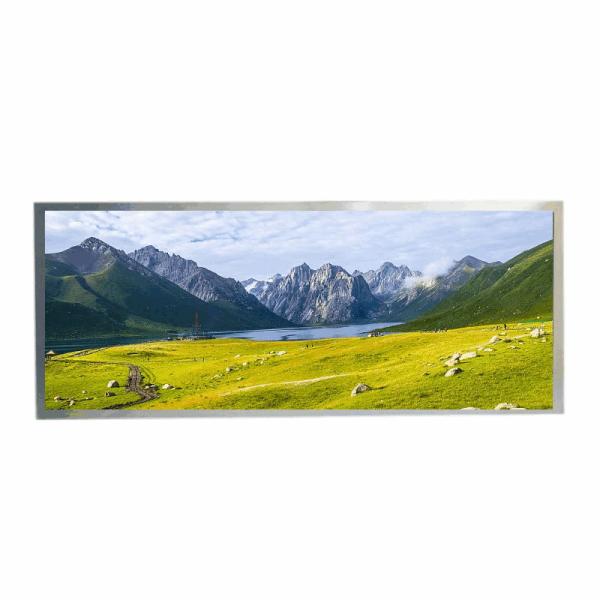Buy cheap HannStar 12.3" TFT IPS LCD 1920x720 850nits WLED LVDS 50pins from wholesalers