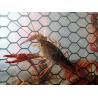 Buy cheap 19 Gauge Crawfish Wire Mesh PVC Coated Saltwater Resistant from wholesalers