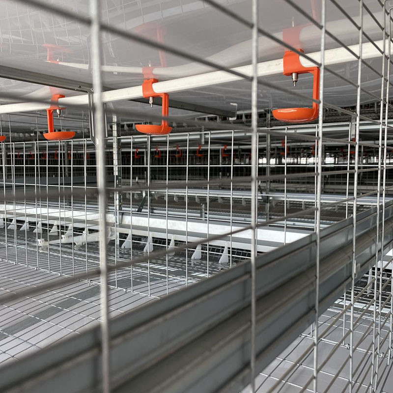 24.5'' Width Battery Cage System For Layers Broiler Pullet H Type