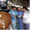 Buy cheap B Mode Medical Ultrasound Machine Diagnostic KX5100 VET Veterinary Instruments from wholesalers