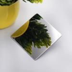 Titanium Gold Color Coated Stainless Steel Sheet Mirror Finish Customize Size