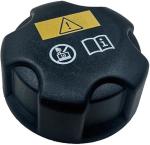 Radiator Expansion Tank Cap for BMW Mini Peugeot Vauxhall Rolls-Royce,120KPa(1