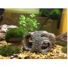 Buy cheap Eco Friendly Landscaping Glofish Tank Accessories from wholesalers