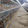 Buy cheap Silver Star Breeding Baby Chick Cage H Type Customized Chicken Coop from wholesalers