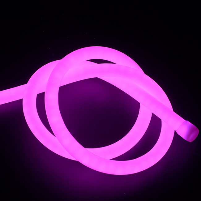 Addressable Circular 360° Neon Led Light For Festival Merchandising Item Type Neon Lights
