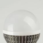 6W LED new bulb