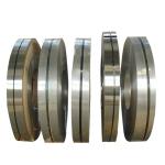 ASTM AISI 316L 304 309s Stainless Steel Strips Cold Rolled