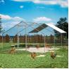 Buy cheap 3x6x2m Chicken Run Kennel Chicken Cage Walk In Pet Cage Coop For Dog Rabbit Hen Cage Pen from wholesalers