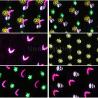 Buy cheap Outdoor Garden Light Halloween Mini LED Snow Crystal Magic Gobo Projector from wholesalers