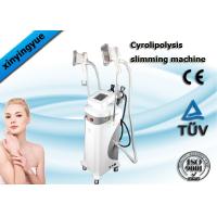 Buy cheap Multifunction Cryolipolysis Slimming Machine , Fat Freezing Body Slimming product
