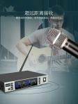 Wireless Dynamic UHF Microphone System High Fidelity Sound Head Prevent