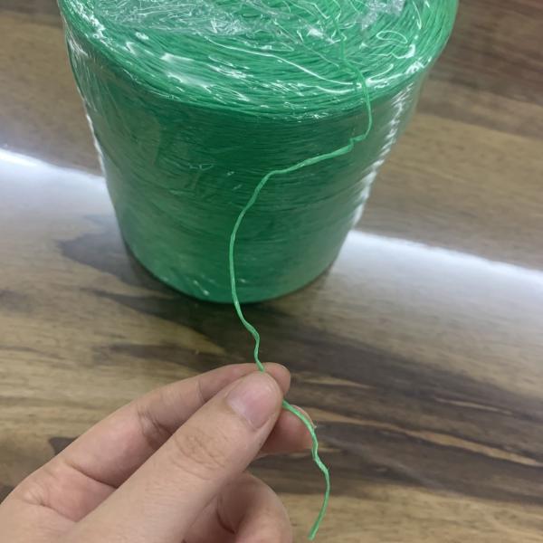 Buy cheap 0.75-1.5g/M Twisted Virgin PP Raffia Tomato Tying Twine Vineyard UV Treated Fibrillated from wholesalers