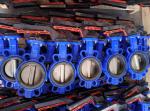 DIN3354 cast iron butterfly valve without pin made in China