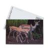 Buy cheap Brown Bear In Alaska Lenticular Card Souvenir Gift Card For Tourist 3d Postcards from wholesalers