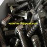 Buy cheap SS316 stainless steel bolt from wholesalers