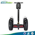 110-240V Two wheeled electric vehicle segway with 21 inch shock - absorber